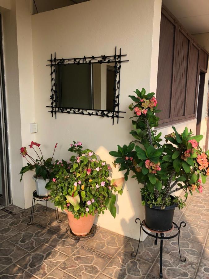 Hotel Santo Vanuatu 루간빌 외부 사진